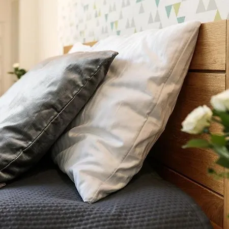 Luxury Old Town Topolowa Apartment *