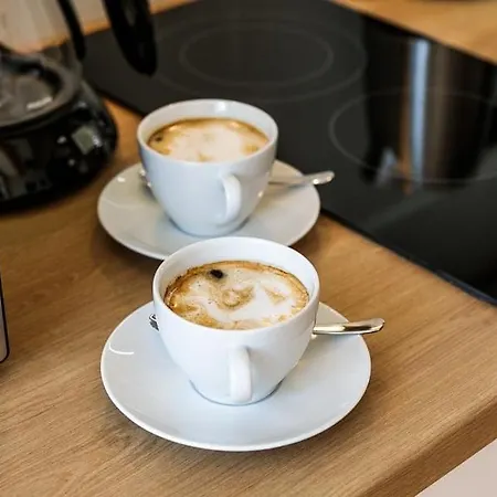 Luxury Old Town Topolowa Апартаменты *